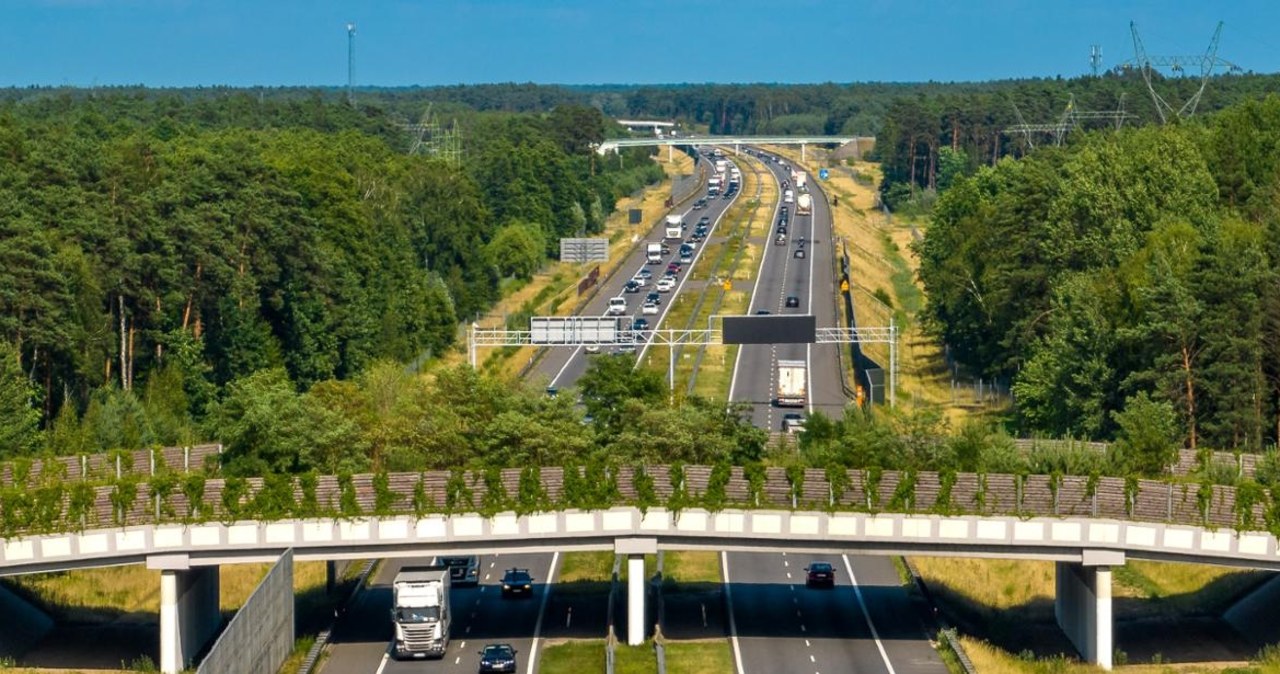 Rozbudowa autostrady „Wolności”. Podpisano umowę na projekt