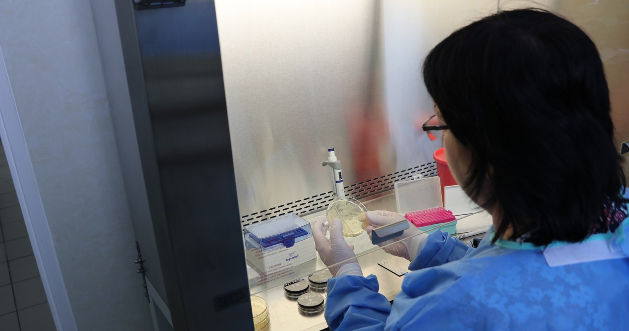 Legionella na Podkarpaciu. Nowe dane o zakażeniach