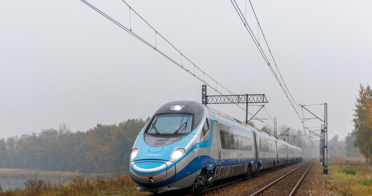 Pociąg potrącił łosia. Podróżni przesiedli się do składu zastępczego