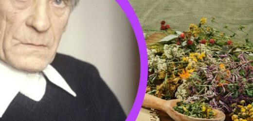 Zioła ojca Klimuszko. Pij często, a serce będzie jak dzwon