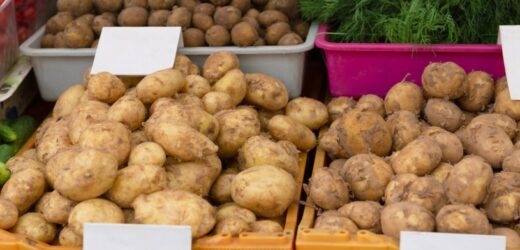 Drożyzna znów uderzy nas po kieszeniach? Chodzi o popularne warzywo