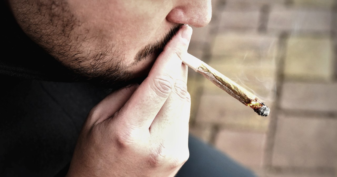 Marihuana zwiększa ryzyko wypadków drogowych