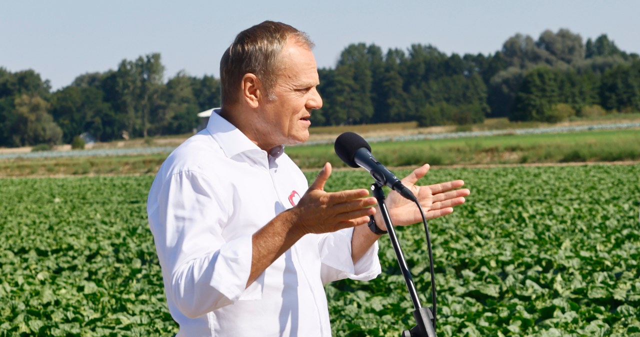 Konkrety i kłamstwa. PiS i PO walczą na hasztagi