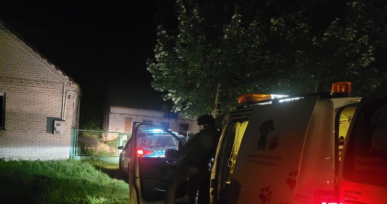 Nielegalna hodowla w Małopolsce. Służby odkryły szczątki kilkudziesięciu zwierząt