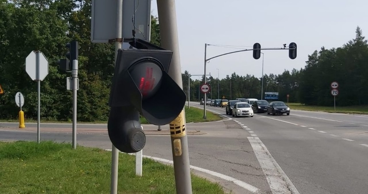 Wjechała w sygnalizator, bo wszedł jej na nogę pająk