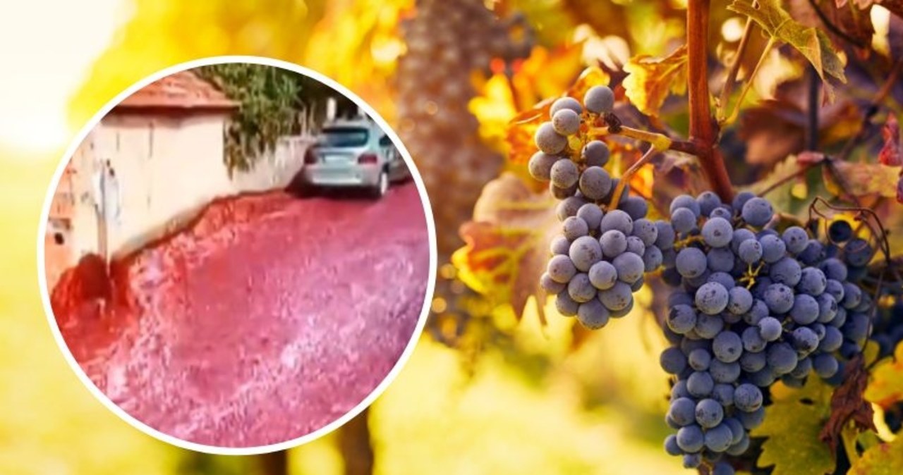 Ulicami portugalskiej wioski popłynęło czerwone wino [FILM]