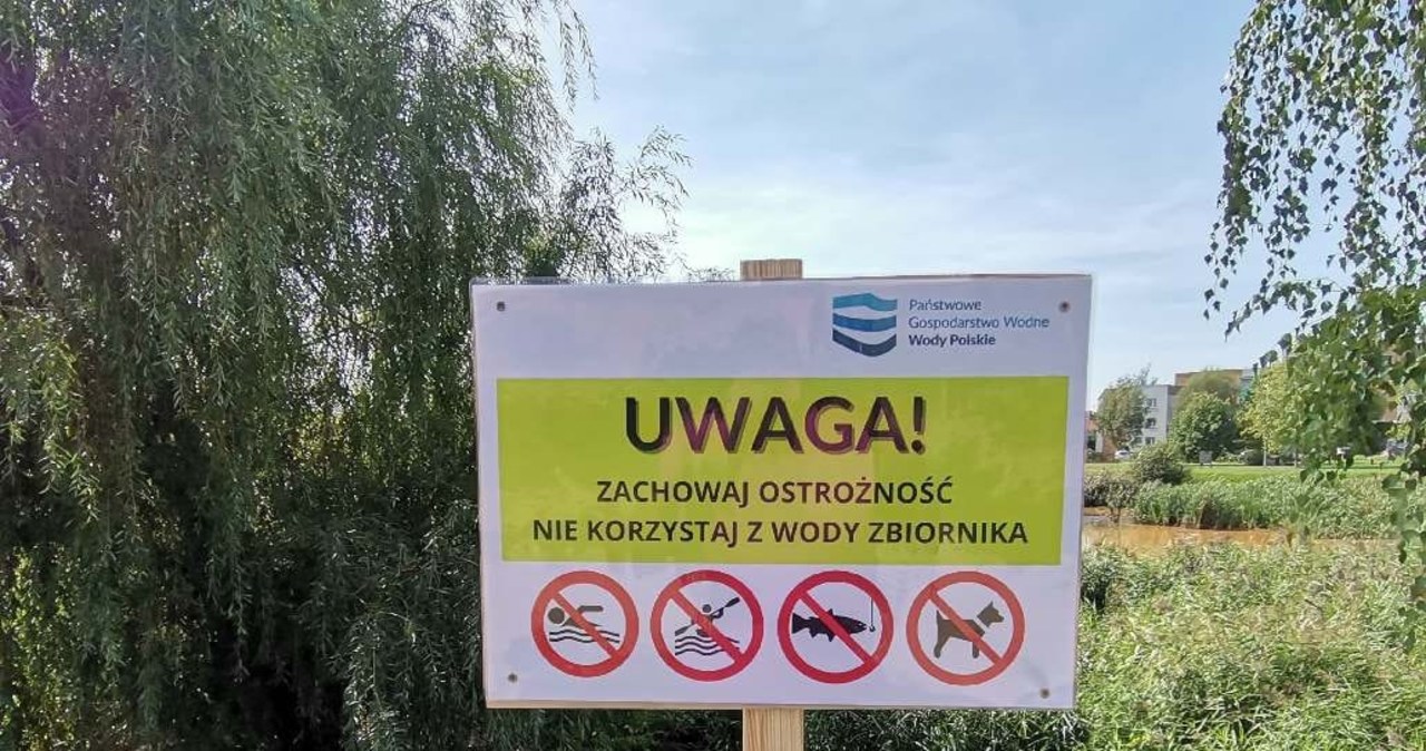 Co skaziło wodę w jeziorku Słonecznym? Znamy szczegółowe wyniki badań