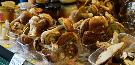 Masz w domu nadmiar grzybów? Uważaj, zanim je sprzedasz. Kary mogą być ogromne