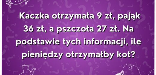 Trudna zagadka wyłącznie dla najbystrzejszych umysłów. Ile pieniędzy otrzymałby kot?