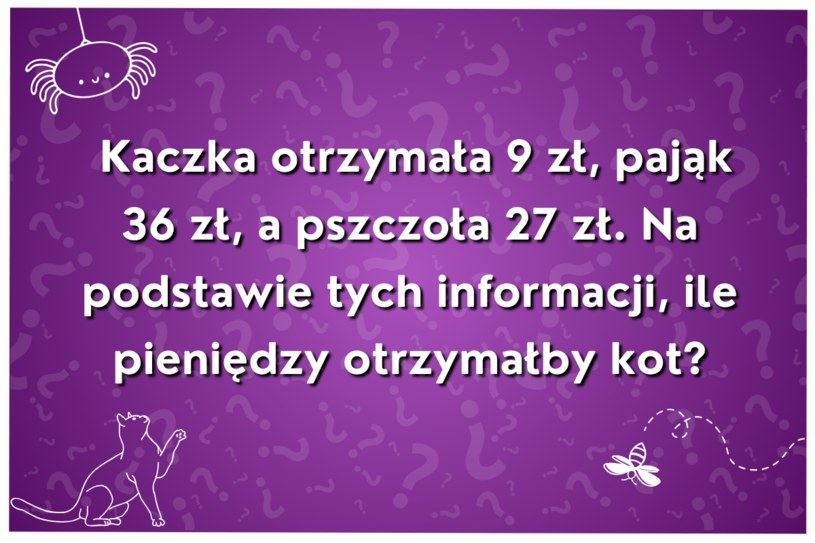 Trudna zagadka wyłącznie dla najbystrzejszych umysłów. Ile pieniędzy otrzymałby kot?