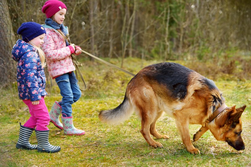 To już plaga na polskich ulicach. Dochodzi do dramatycznych scen z udziałem dzieci