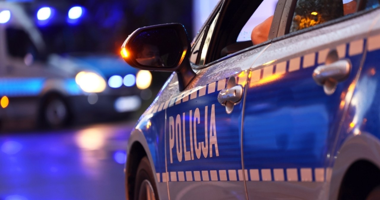 Makabryczne odkrycie koło Kościerzyny. Zwłoki dzieci zakopane w piwnicy