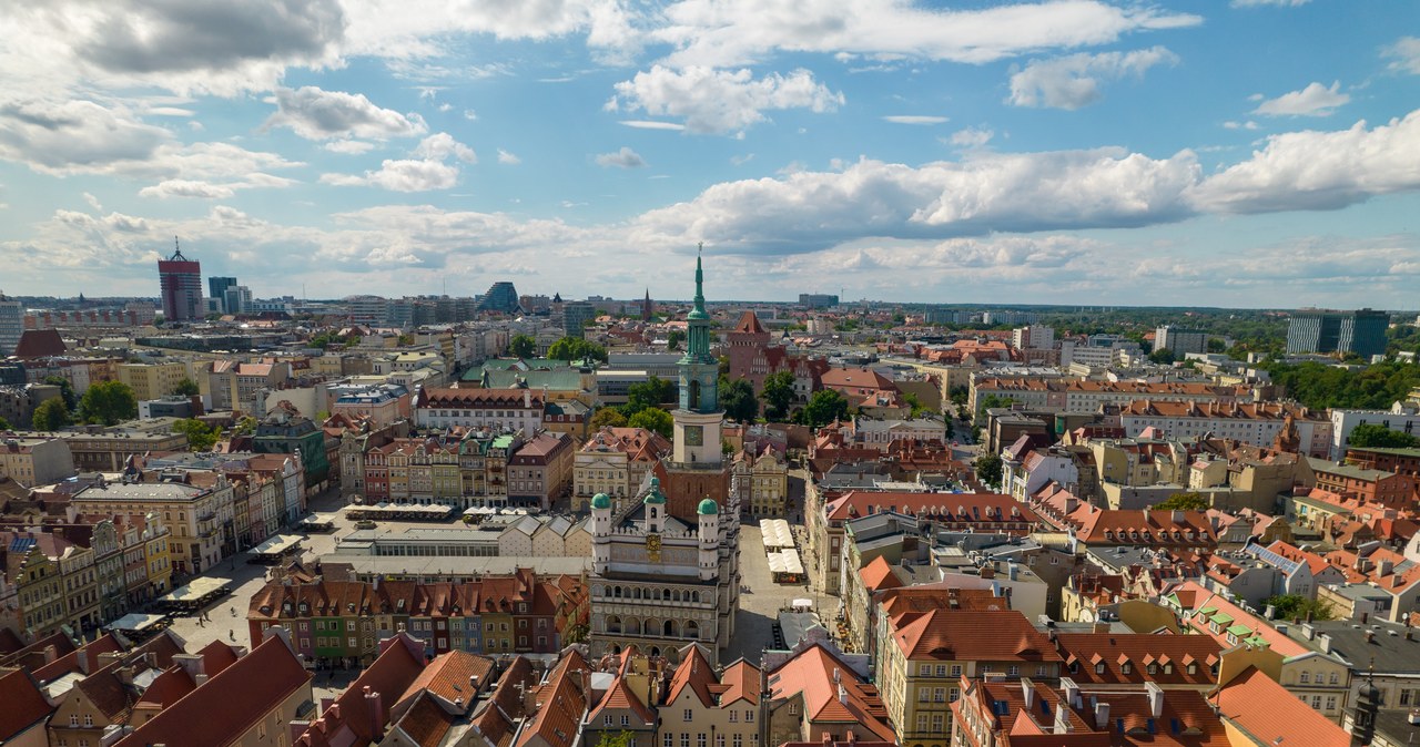 Poznań: Piknik archeologiczny na placu Kolegiackim