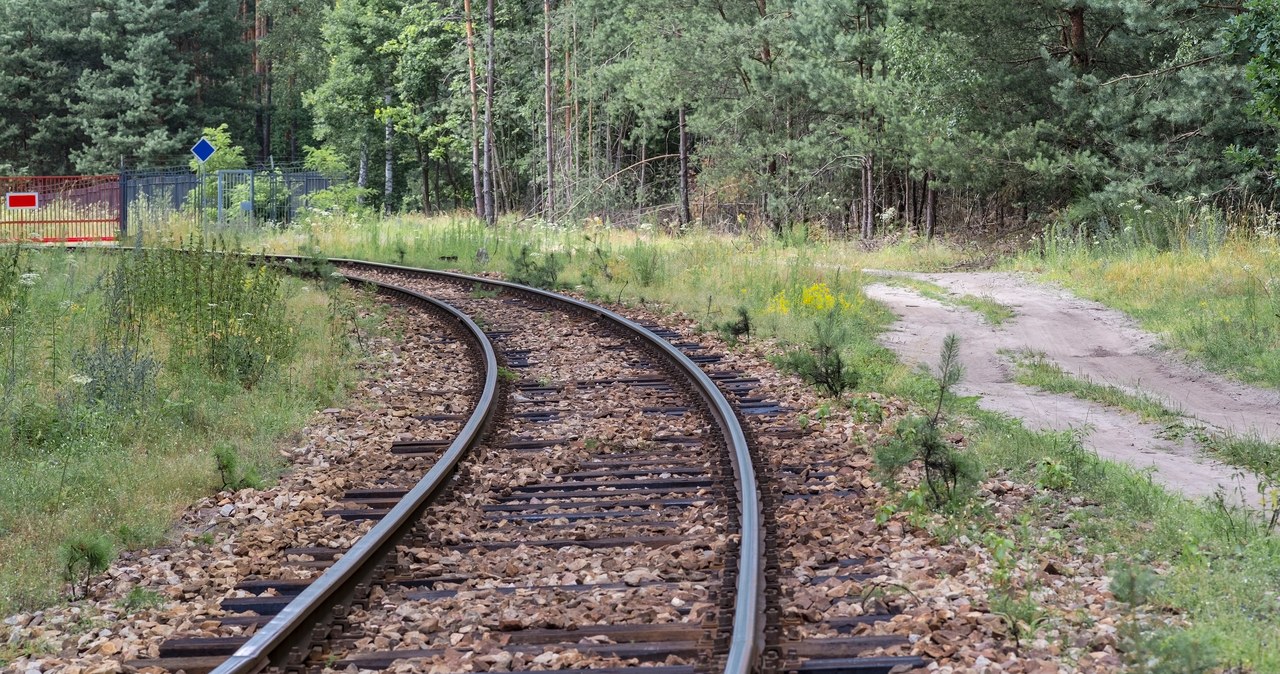 Górnośląskie Koleje Wąskotorowe zapraszają na jesienne przejazdy