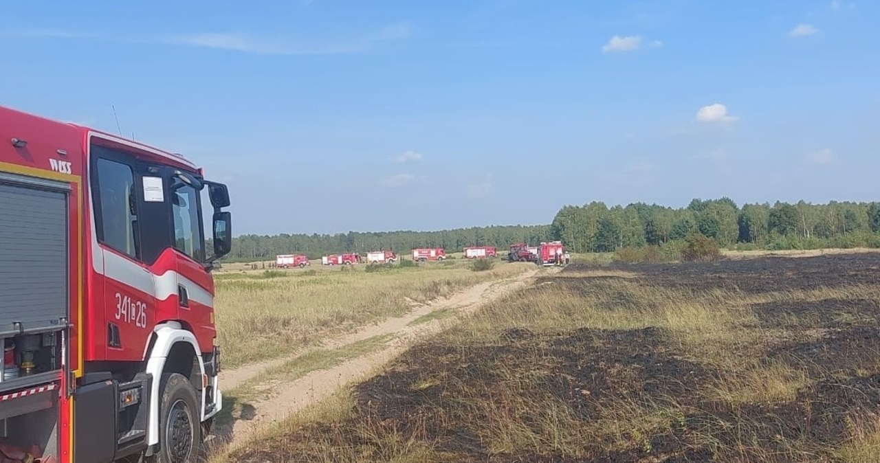 Pożar lasu na poligonie koło Torunia