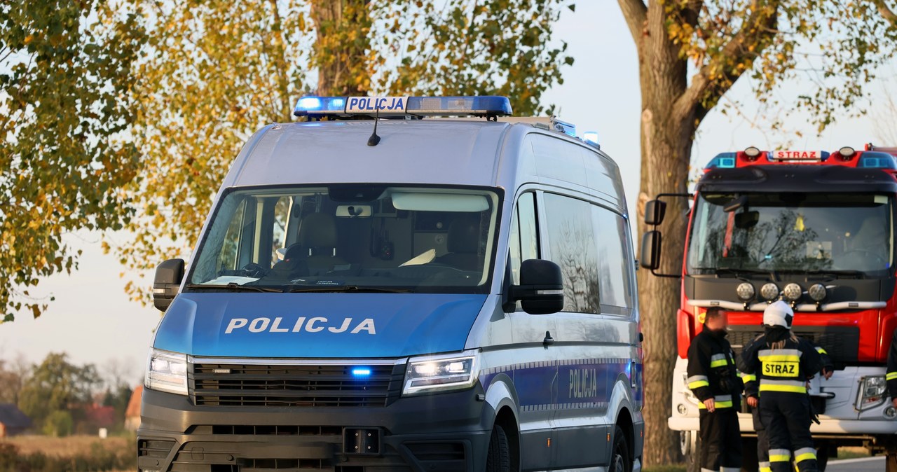 Łosie na drodze. Dwa groźne wypadki na Mazowszu