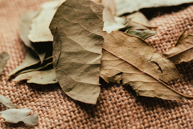 Babcia wkładała je pod wycieraczkę. Po latach zdradziła powód
