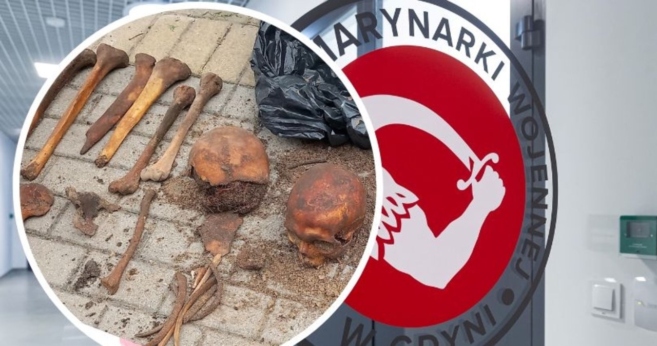 ​Szczątki nawet kilkunastu osób przy Muzeum Marynarki Wojennej w Gdyni