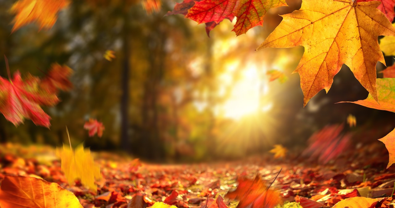 Dziś początek astronomicznej jesieni