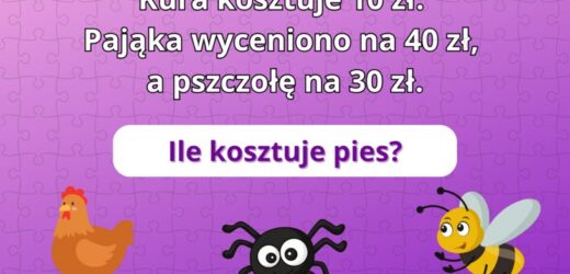 Mega trudny test na logikę: Ile kosztuje pies? 93% użytkowników poległo na tym zadaniu