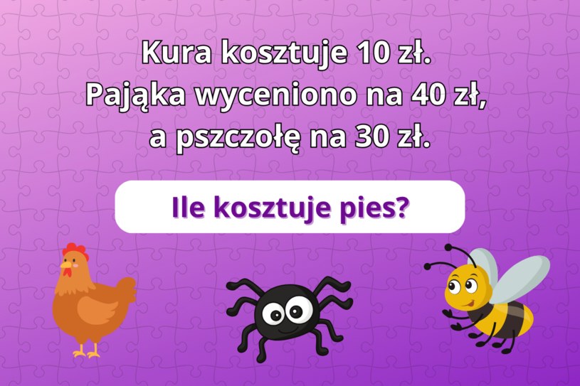 Mega trudny test na logikę: Ile kosztuje pies? 93% użytkowników poległo na tym zadaniu