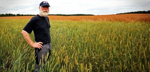 Emerytura rolnicza na nowych zasadach. Tyle można dostać