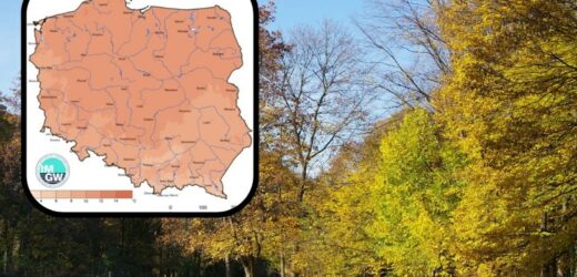 Lato w Polsce nie odpuszcza. Przed nami kolejny upalny dzień