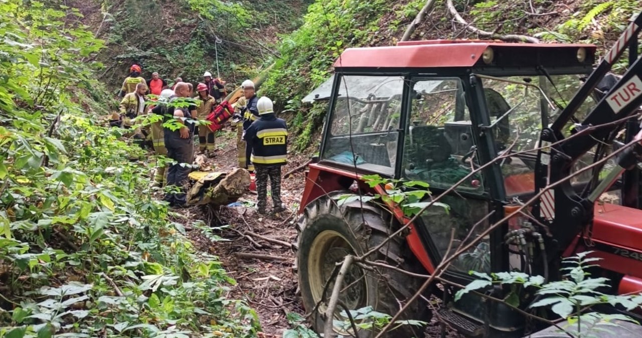 Tragedia podczas wycinki drzew na Lubelszczyźnie. Nie żyje 55-latek