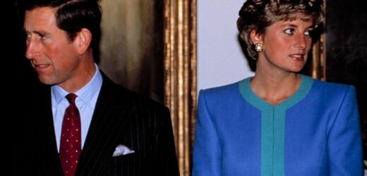 Księżna Diana zatrudniła chemiczkę. Tak powstały niezwykłe lakiery do włosów