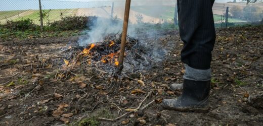 Czy można palić ognisko na działce ROD? Sprawdź przed jesiennymi porządkami