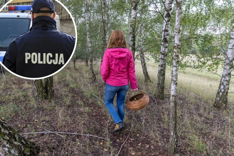 Jedziesz do lasu na grzybobranie? Uważaj na mandat! Za nierozwagę zapłacisz nawet 1000 złotych