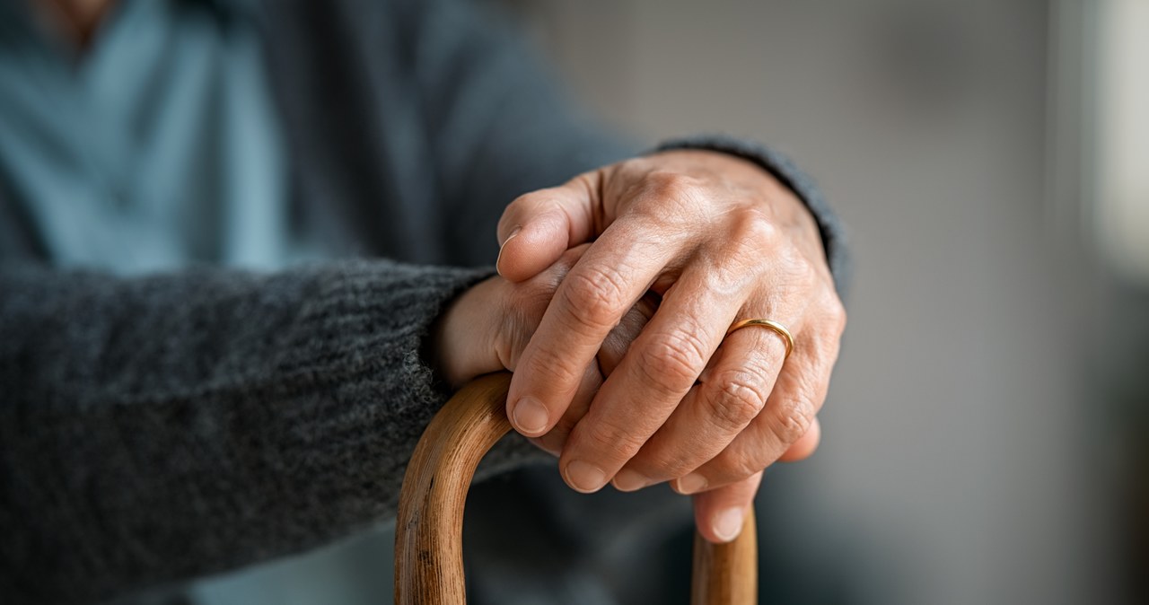 Wracając z sanatorium ugrzęźli w leśnym błocie. Seniorów zgubiła nawigacja