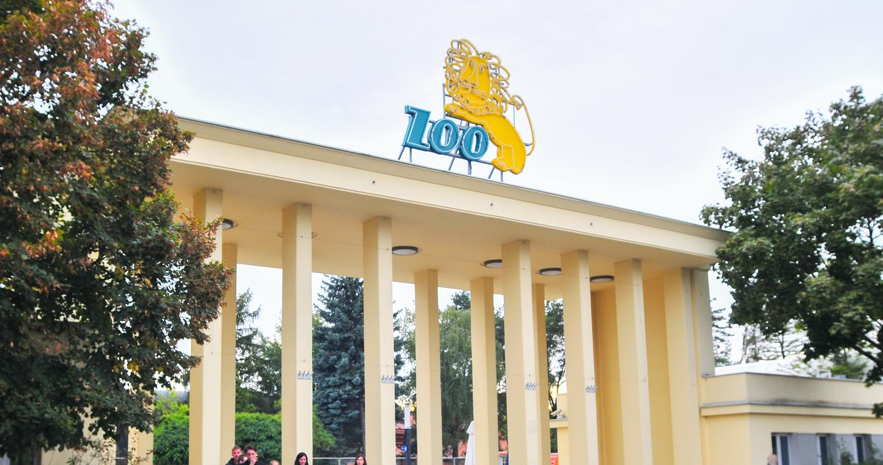 Wrocławskie ZOO czynne krócej