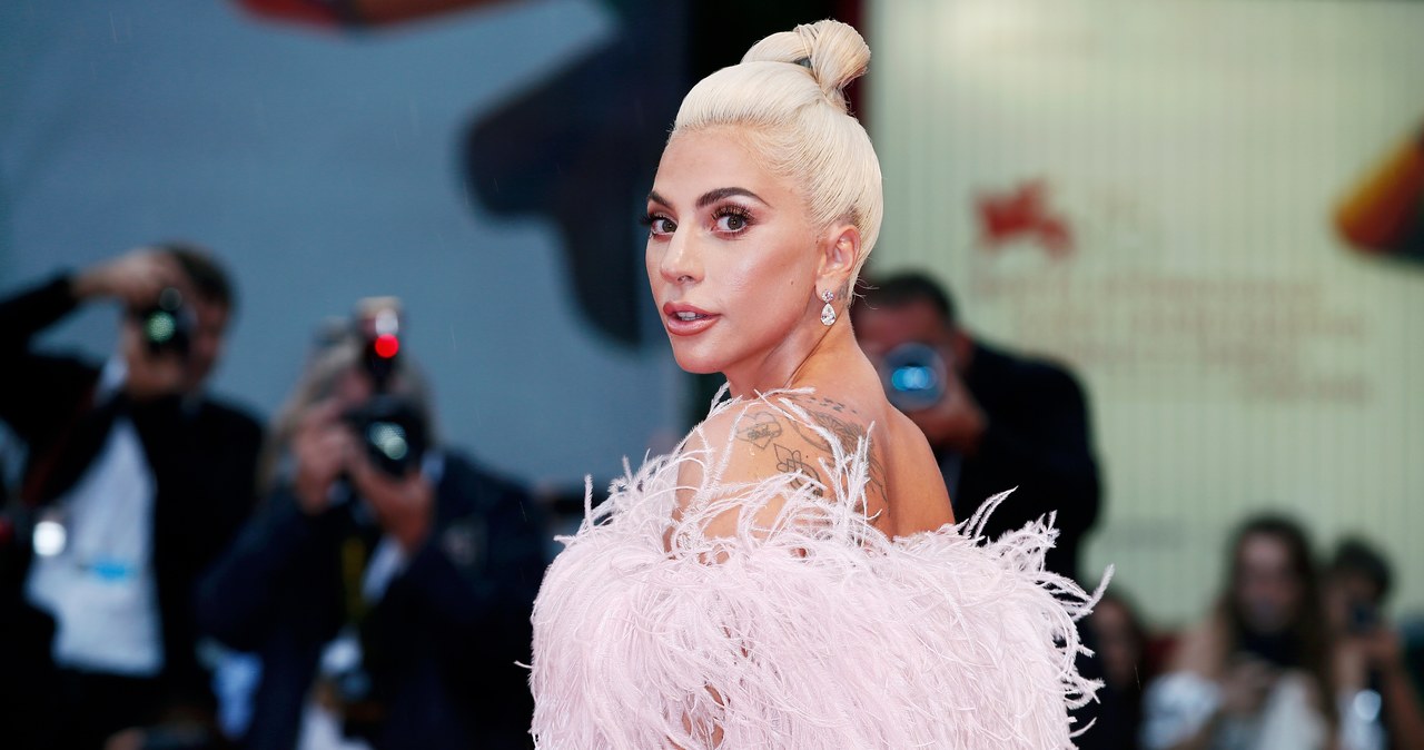 Lady Gaga wygrywa w sądzie. Chodzi o kradzież jej psów