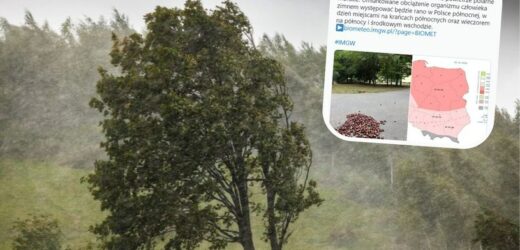 Silny wiatr i polarne powietrze nad Polską. Pogoda niekorzystnie wpłynie na nastrój i sprawność psychofizyczną