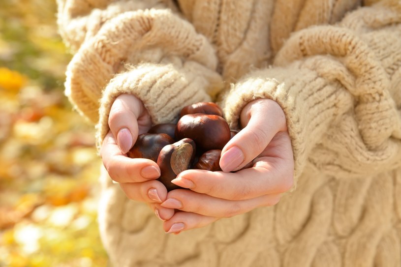 Zbieraj kasztany, póki trwa na nie sezon. Wyczarujesz z nich genialne kosmetyki