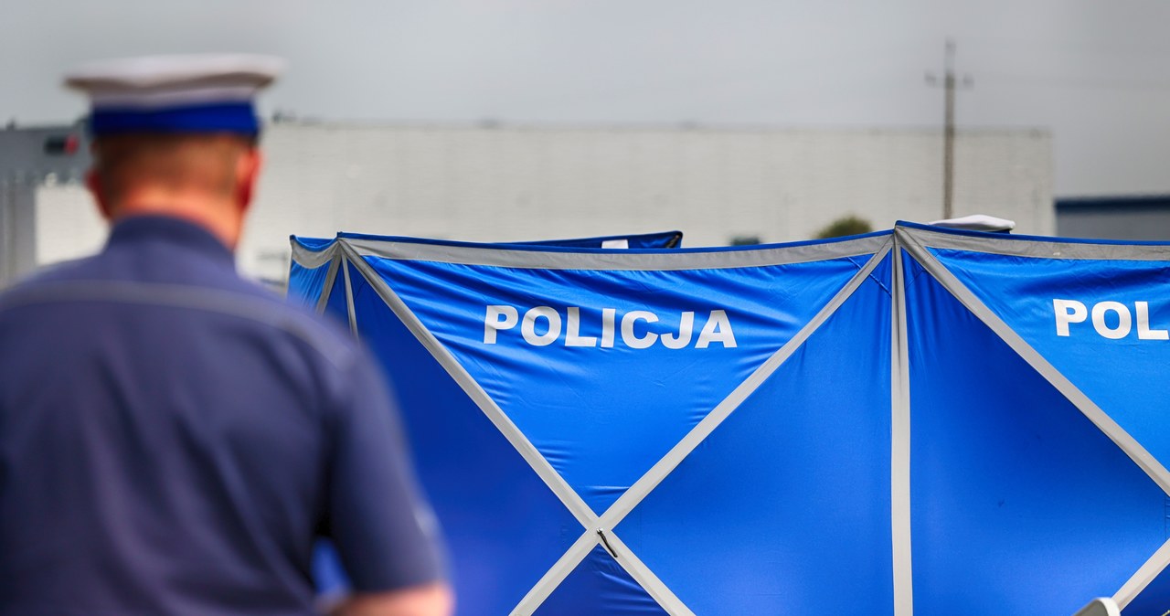 Mercedes przebił barierki i wpadł do stawu. Policja szuka kierowcy