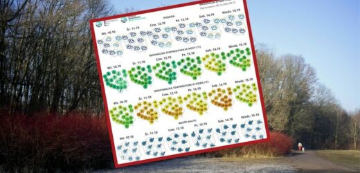 Przymrozki, deszcz ze śniegiem i kolejne powiewy lata. Czeka nas tydzień zawirowań w pogodzie