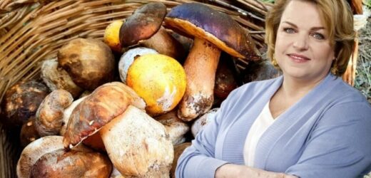 „Grzyby to nie tylko wyjątkowy smak”. Bosacka obala popularny mit