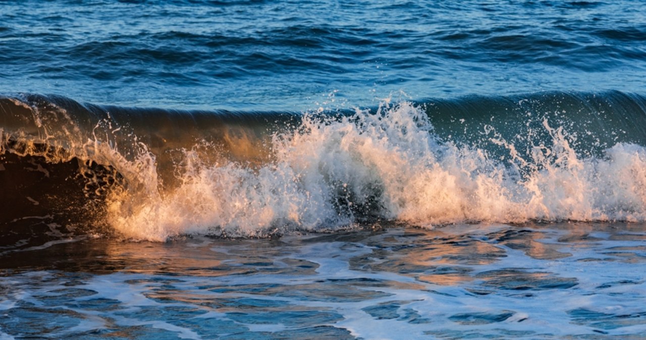 Tajemnicze tsunami na Pacyfiku. Japończycy byli zaskoczeni