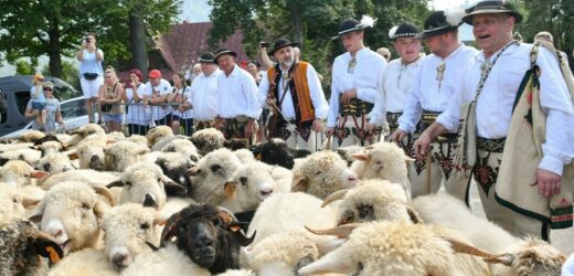 Widowiskowa atrakcja w polskich górach. Zobaczysz ją w październiku