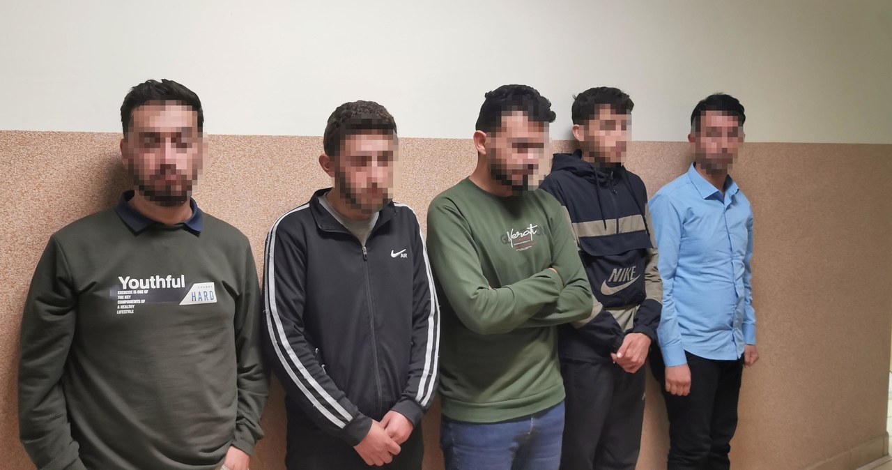 Dolnośląskie: Zatrzymano 43 nielegalnych migrantów