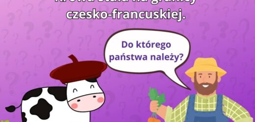 Trudna zagadka na logiczne myślenie. 99% osób błędnie odpowiada na to pytanie. Do którego państwa należy krowa?