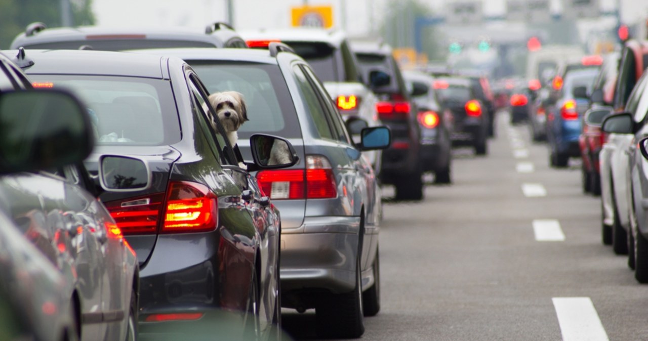 Zderzenie na A1 na Pomorzu. Korek ma 13 kilometrów