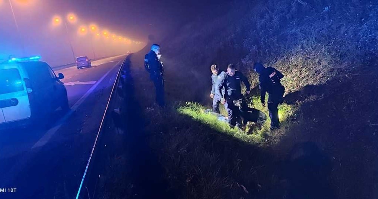 Nie zatrzymał się do kontroli. Ukrył się na drzewie