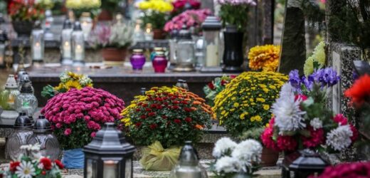 Listopadowy Quiz: Jak dużo wiesz o słynnych cmentarzach? 11 punktów osiągają jedynie mistrzowie