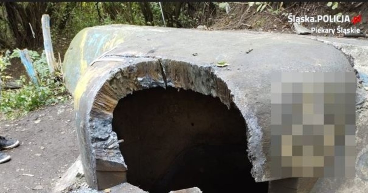 Chcieli zdobyć metal. Uszkodzili zabytkowe schrony