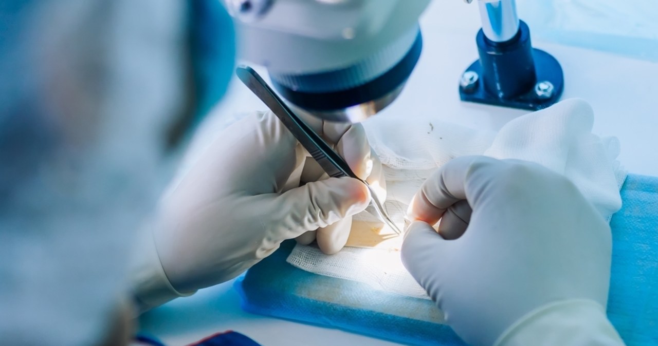 „Fascynuje Cię biologia sądowa?”. Niezwykła propozycja wrocławskiej uczelni