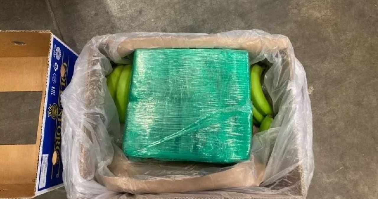 Prawie 8 ton kokainy w ciężarówce z bananami, kierowcą był Polak