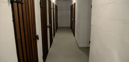 Jesienią zaglądają do naszych piwnic. Pod żadnym pozorem ich nie dotykaj